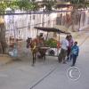 fruit-vendor-1-medium_19208463750_o