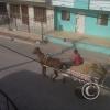 horse-drawn-wagon-in-front-of-my-apartment_19369778176_o