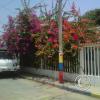 img-20150505-00008_18205184922_o