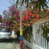 img-20150505-00009_18182355126_o