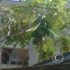 img-20150726-00050_21016210551_o