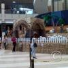 img00109_19390008202_o
