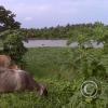 img00115_18773696414_o