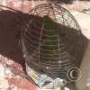 img00231_19209073768_o
