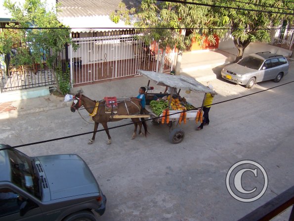 Fruit vendor 2