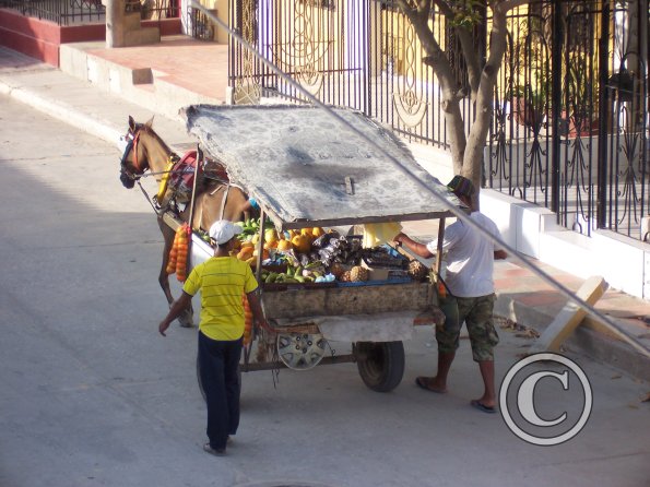 Fruit vendor 4