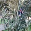 IMG_20161018_162251746