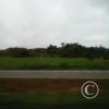 Exif_JPEG_420