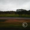 Exif_JPEG_420