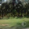 Exif_JPEG_420