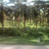 Exif_JPEG_420