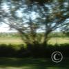 Exif_JPEG_420