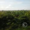 Exif_JPEG_420