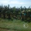 Exif_JPEG_420