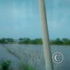 IMG_20161022_115910068