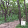 IMG_20210426_153259