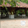 IMG_20210426_154809