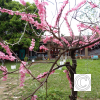 IMG_20210427_113732
