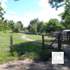 IMG_20210502_135007