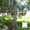 IMG_20210508_115514