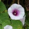 IMG_20211225_112252750