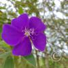 IMG_20211225_114730619