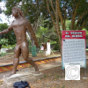 Higueron
