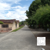 Higueroncita