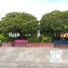 IMG_20210718_130635