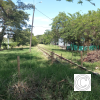 IMG_20210719_112759