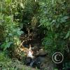 IMG-20220816-WA0001