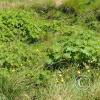 IMG-20220816-WA0007