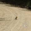 IMG_20221005_131442197