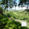 IMG_20210628_134343