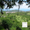 IMG_20210628_134353