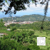 IMG_20210628_134406