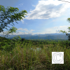 IMG_20210619_145506