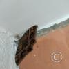IMG_20221022_160314660