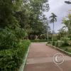 Parque Principal (4)