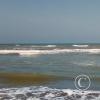 IMG_20190609_094242 (2)