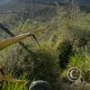 IMG-20231015-WA0016