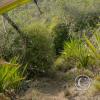 IMG-20231015-WA0025