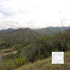 IMG_20210815_131721