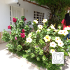 IMG_20210827_112740
