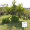 IMG_20210902_091317