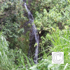 IMG_20211025_093845