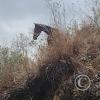 IMG_20231007_120704702