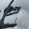 IMG_20231025_130822866