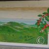 IMG_20251028_134851672