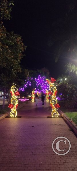IMG_20251128_193940437_HDR
